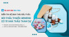 Điểm tin Hệ sinh thái Đấu Thầu 04/5 - 10/5: Gói thầu thuốc Generic có 111 nhà thầu tham dự