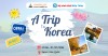 Hệ sinh thái Đấu Thầu tổ chức Tour du lịch mùa hè tại Hàn Quốc cho nhân sự 3 miền từ 27/6/2024 - 01/07/2024