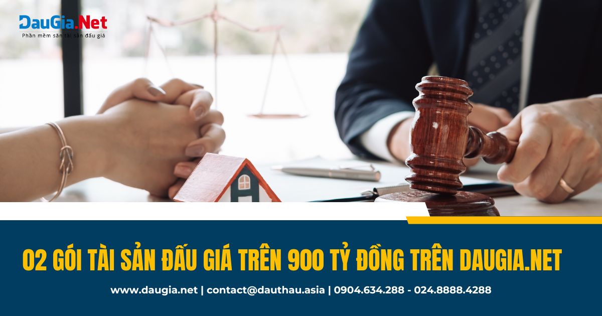 TOP 2 gói tài sản đấu giá có giá trị cao nhất