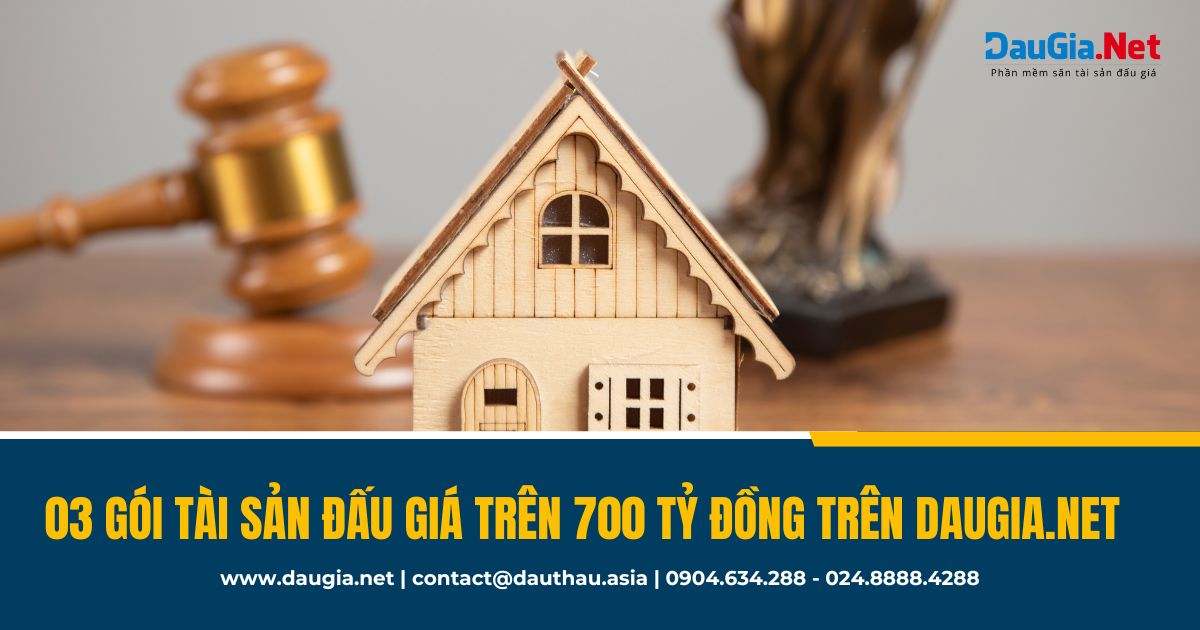 03 gói tài sản đấu giá có giá trị trên 700 tỷ đồng