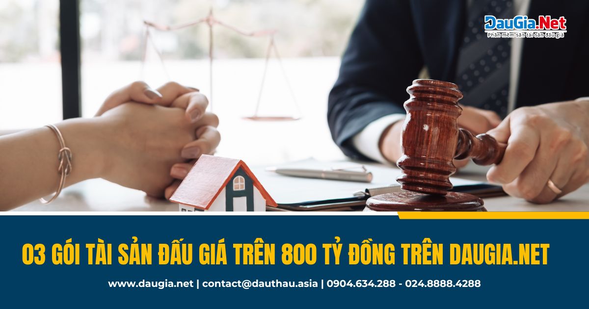 Top 3 gói đấu giá tài sản trên 800 tỷ đồng trên DauGia Net