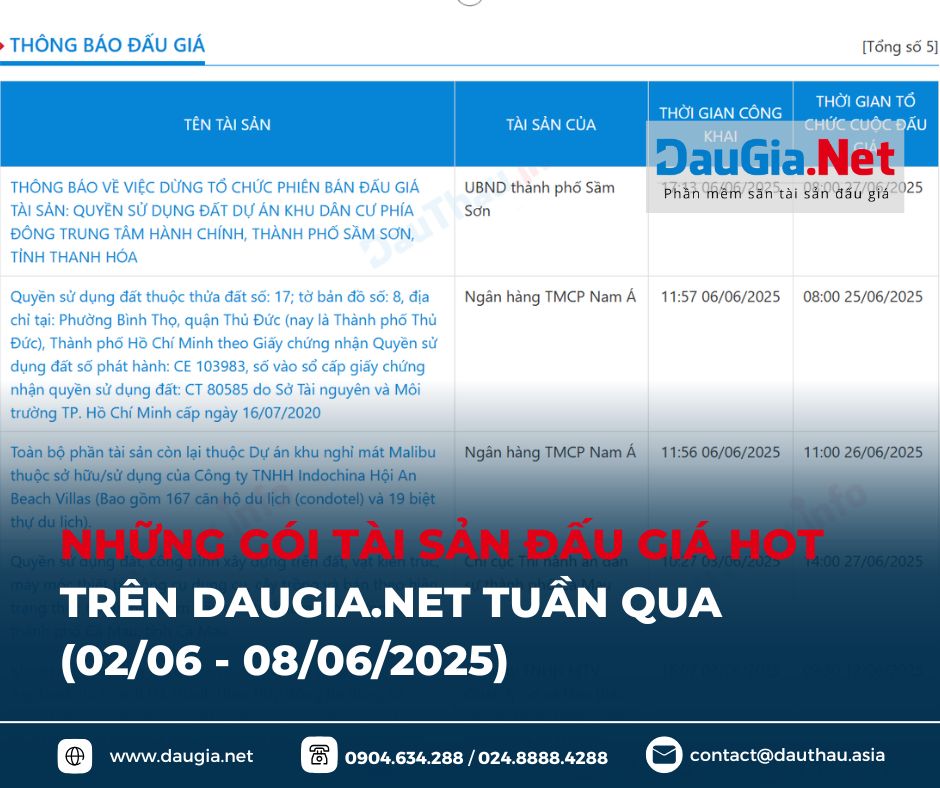 DauGia Net (1)