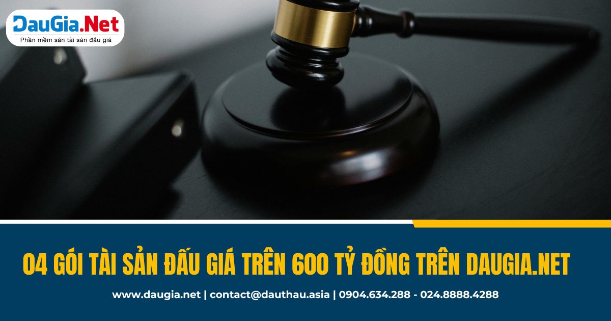 Top 4 gói tài sản trên 600 tỷ trên DauGia Net